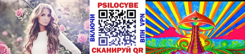 Псилоцибиновые грибы GOLDEN TEACHER как найти Шацк